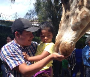 (Créditos: Parque Zoológico Nacional La Aurora)