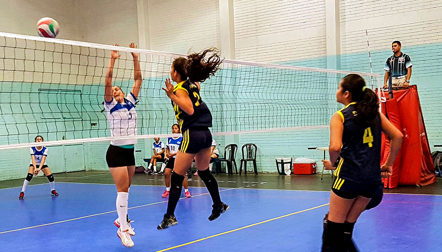 voleibol de sala