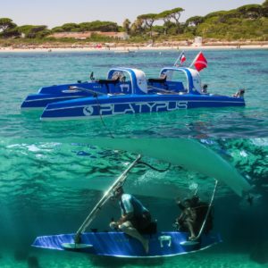 (Créditos: reefdivers.io)