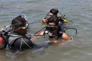(Créditos: Peters Extreme Tours & Tv Shows)
