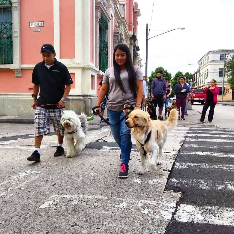 (Créditos: La Tribu K9 - Club de Aventura y Deporte con tu Perro)