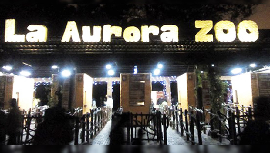 Noches de Luna en el Zoológico La Aurora