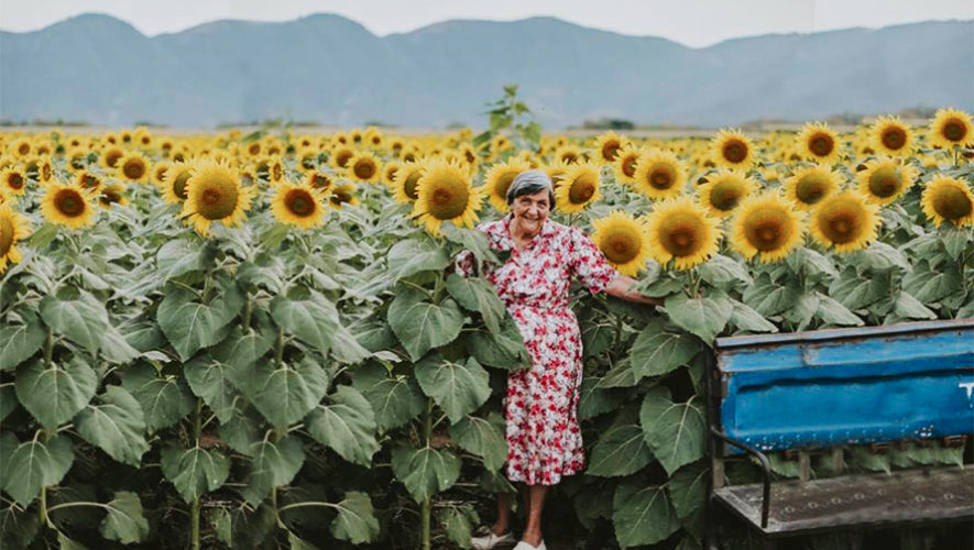 Visita la finca de girasoles en Salamá y apoya a los abuelitos de un asilo, 2018