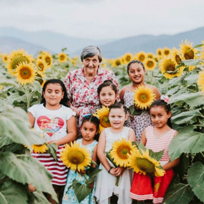 finca de girasoles en Salamá
