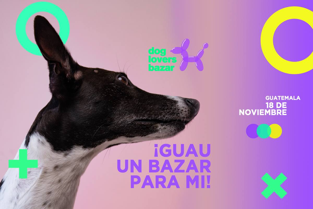 (Créditos: Tag a Friend)