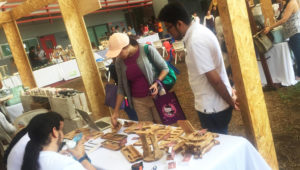 EcoMarket, mercadito y actividades familiares | Noviembre 2018