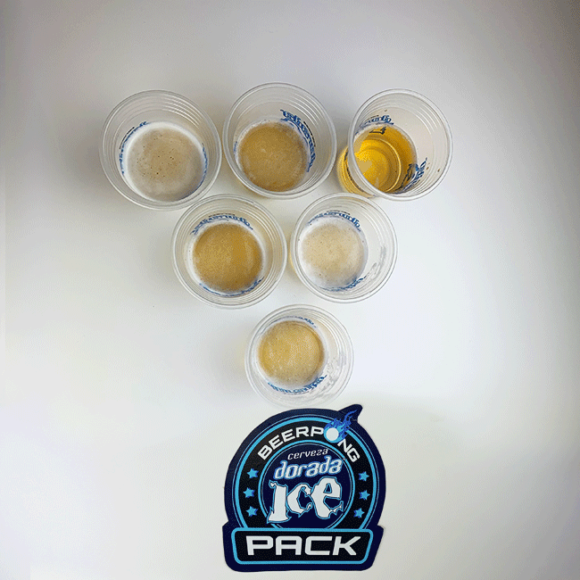¿Cómo jugar Beer Pong?