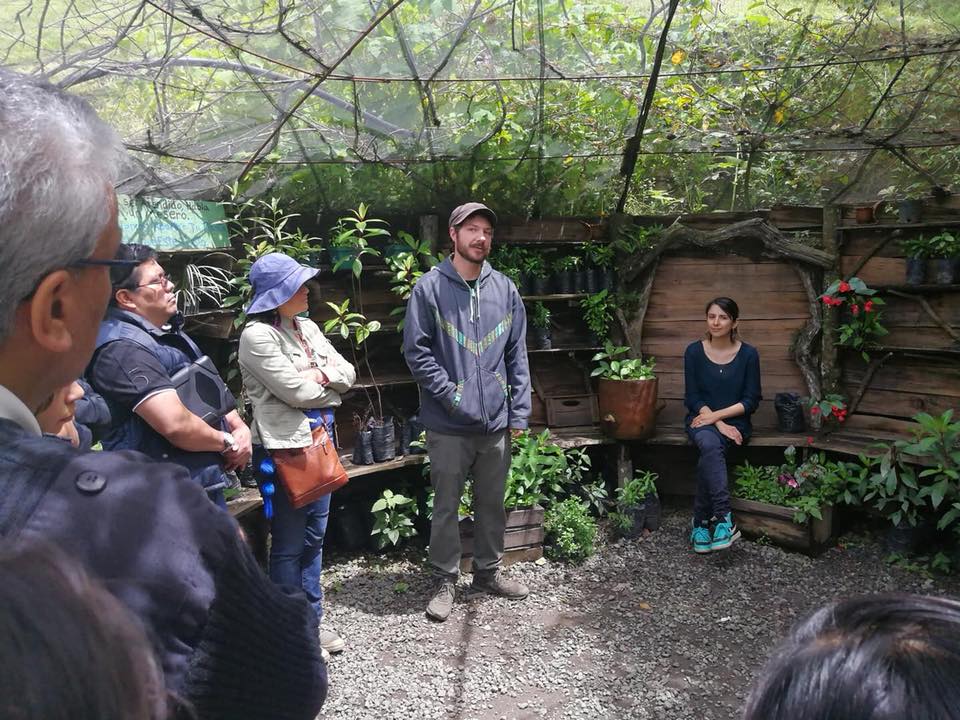 Primer festival ecológico, forestal y ambiental en Antigua