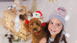 Sesi&oacute;n de fotos navide&ntilde;as para ayudar a Huellas de Coraz&oacute;n | Noviembre 2018