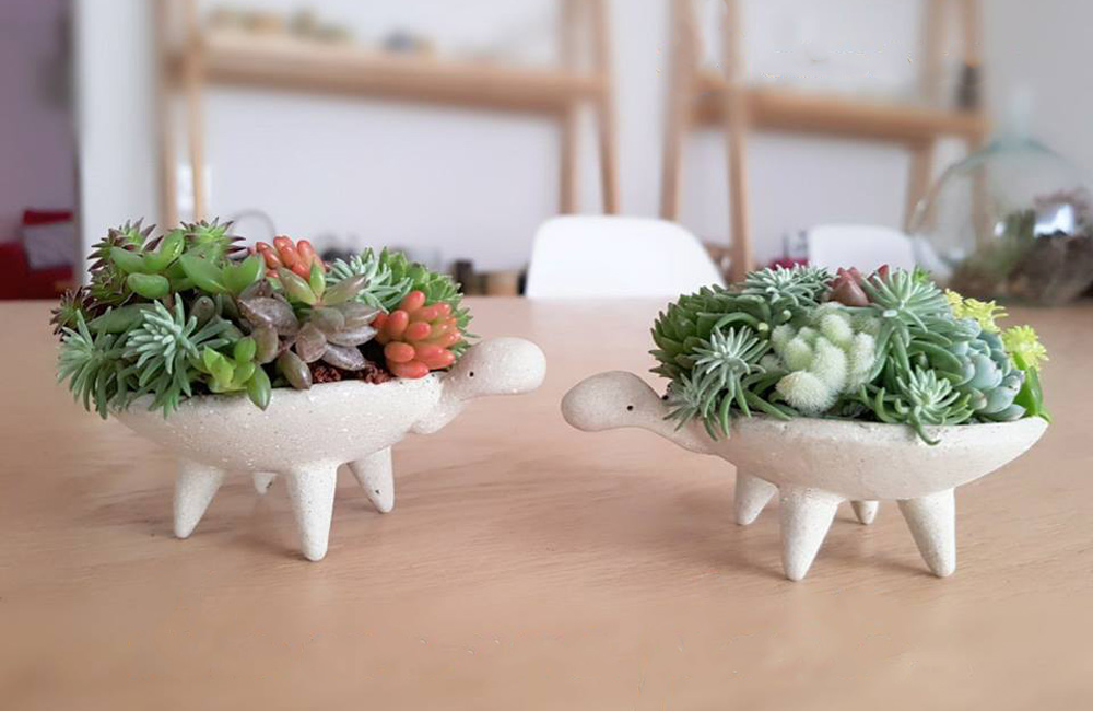 (Foto: Facebook Jardines de bolsillo)