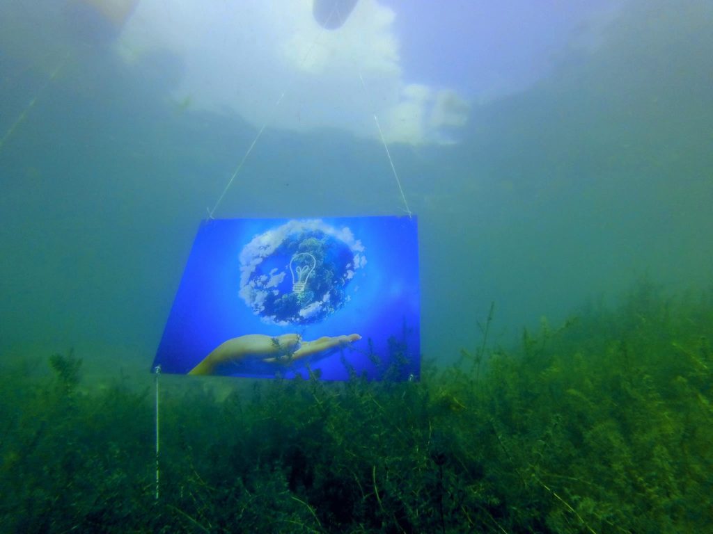 (Foto: Peters Extreme Tours & Tv Shows)