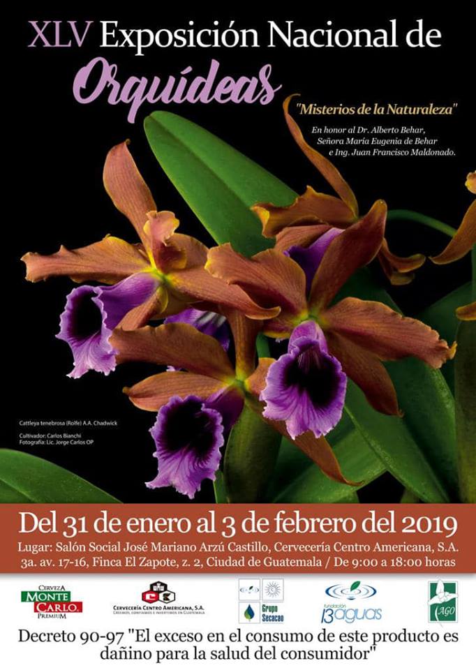 (Foto: Asociación Guatemalteca de Orquideología - AGO- Oficial)