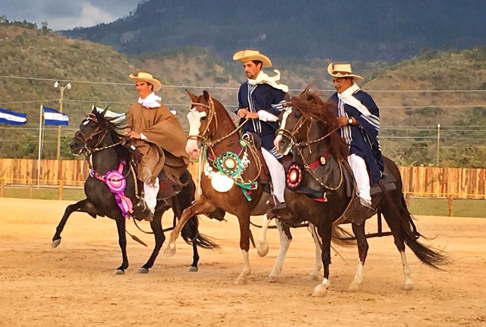 Caballos Peruanos