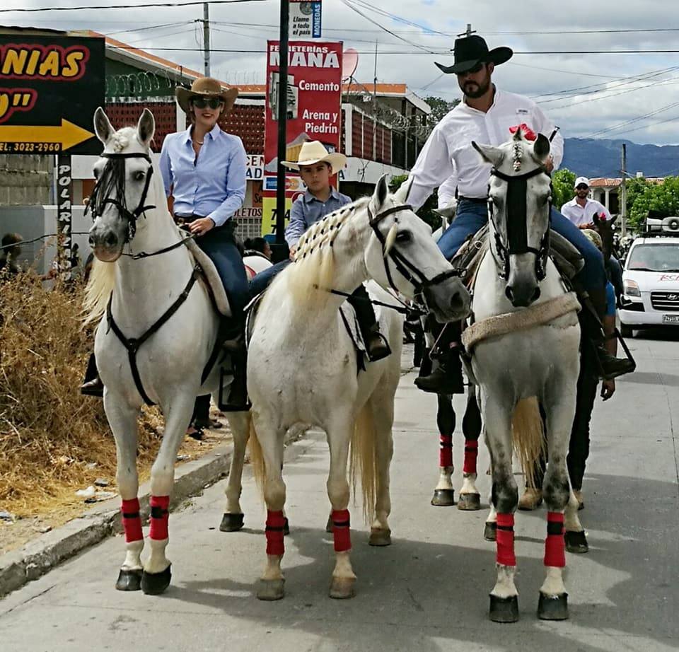 caballos