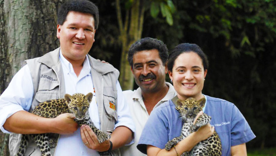 Convocatoria para ser voluntario del Zoológico La Aurora en Guatemala