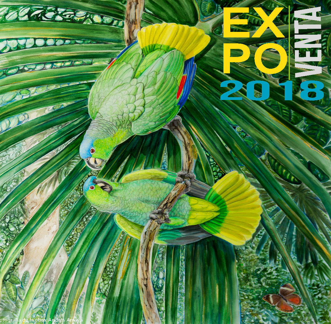 Pinturas por Naturaleza