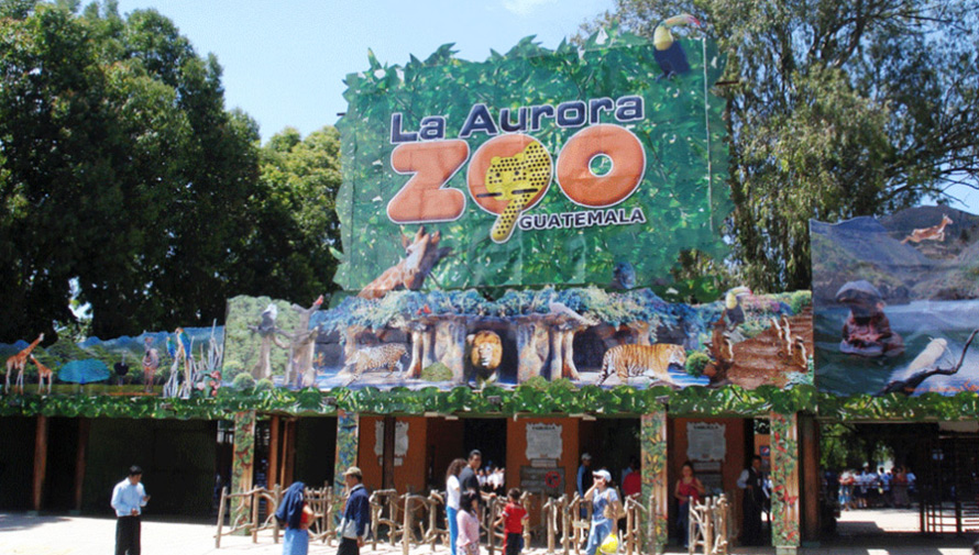 Zoológico La Aurora ofrece empleo para personas en silla de ruedas