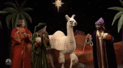 Reyes Magos