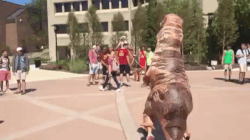 Dinosaurios