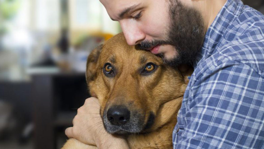 Realizarán concierto a cambio de comida para perros en Guatemala