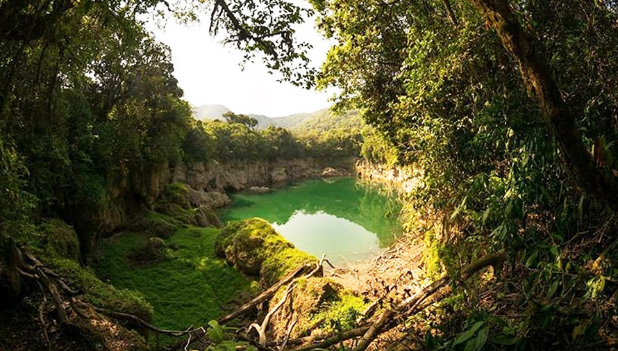 Laguna Brava y Cenotes