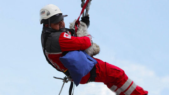 Rescataron a un gato que se encontraba en un árbol del Anillo Periférico