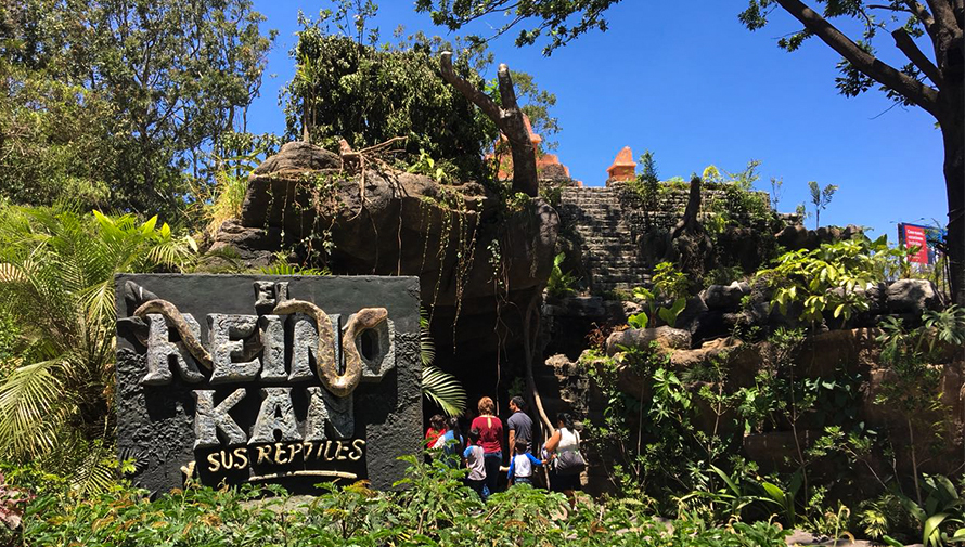 Herpetario El Reino Kan y sus Reptiles del Zoológico La Aurora