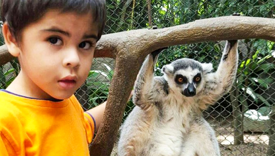 KinderZoo 2018, el curso para niños en el Zoológico La Aurora