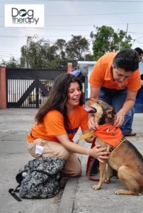 (Créditos: DOG Therapy AAA)