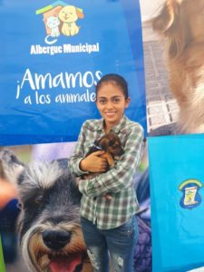 (Créditos: Albergue Municipal de Mascotas Mixco)