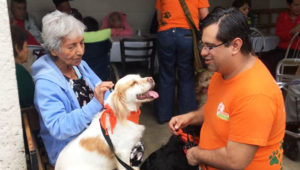(Créditos: DOG Therapy AAA)