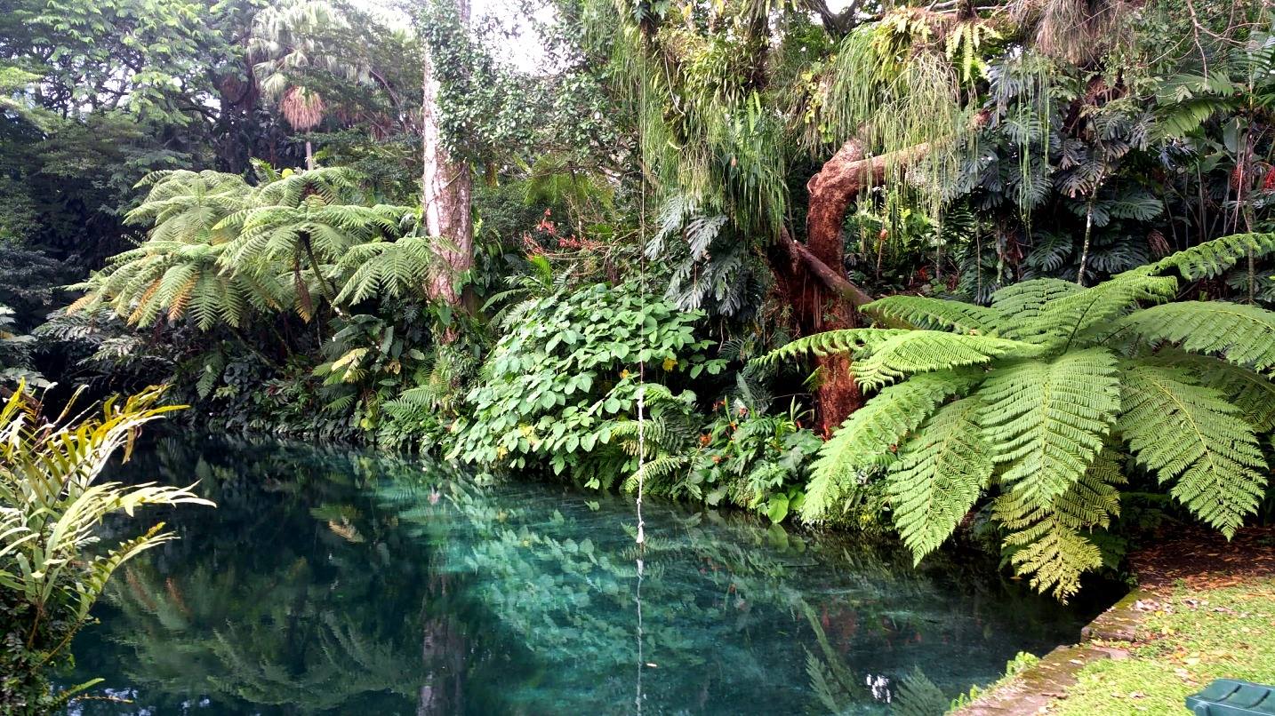 (Foto: Finca El Zapote)