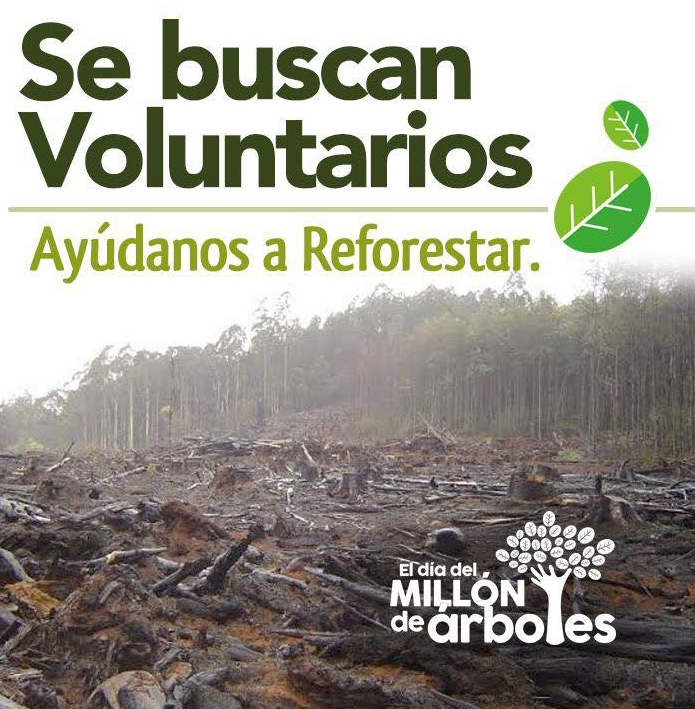 Cómo ser un voluntario