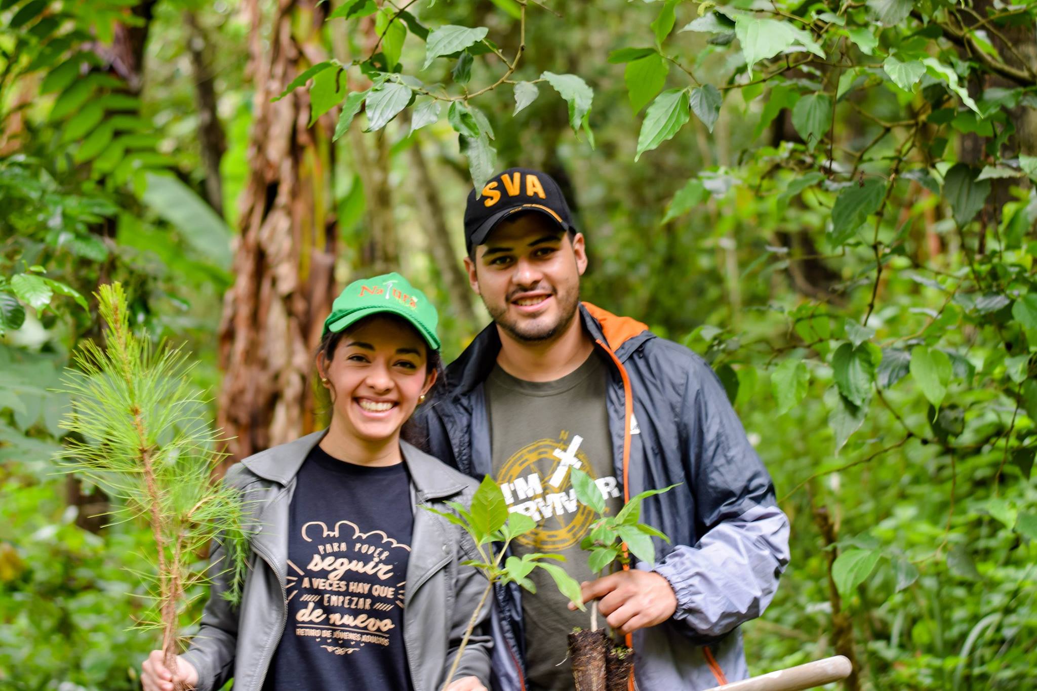 Convocatoria de voluntarios para sembrar árboles en Guatemala 2019