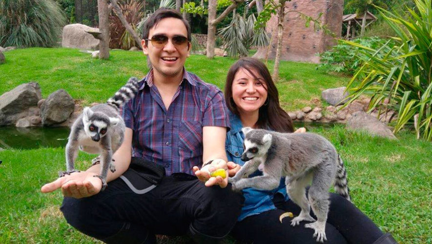 Convocatoria para ser voluntario del Zoológico La Aurora en Guatemala para el 2019