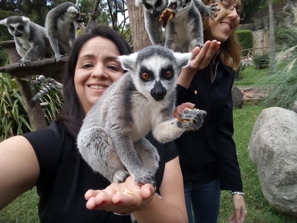 Requisitos para ser voluntario del zoológico