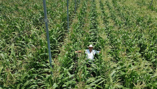 Agrocentro lanzó su programa AsiaCafé por segundo año consecutivo en Guatemala