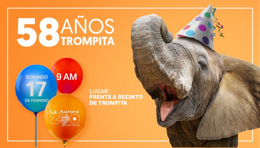 (Foto: Parque Zoológico Nacional La Aurora)