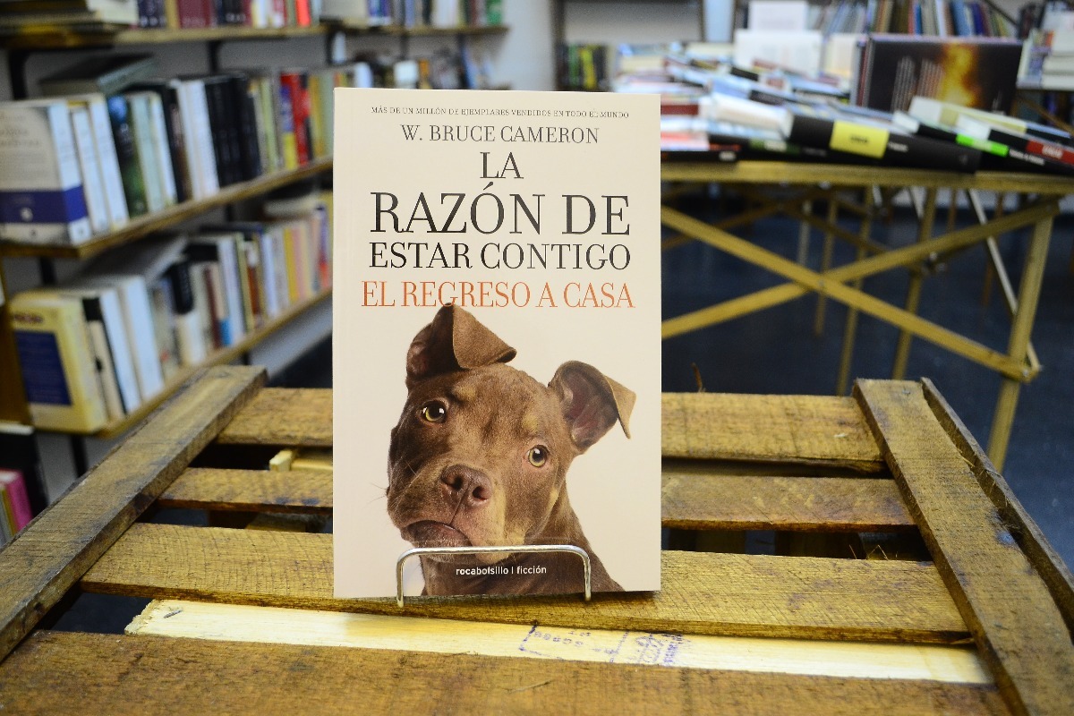 (Foto: MercadoLibre)