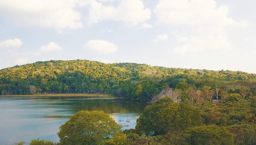 Concesiones Forestales Comunitarias han preservado los bosques de Guatemala
