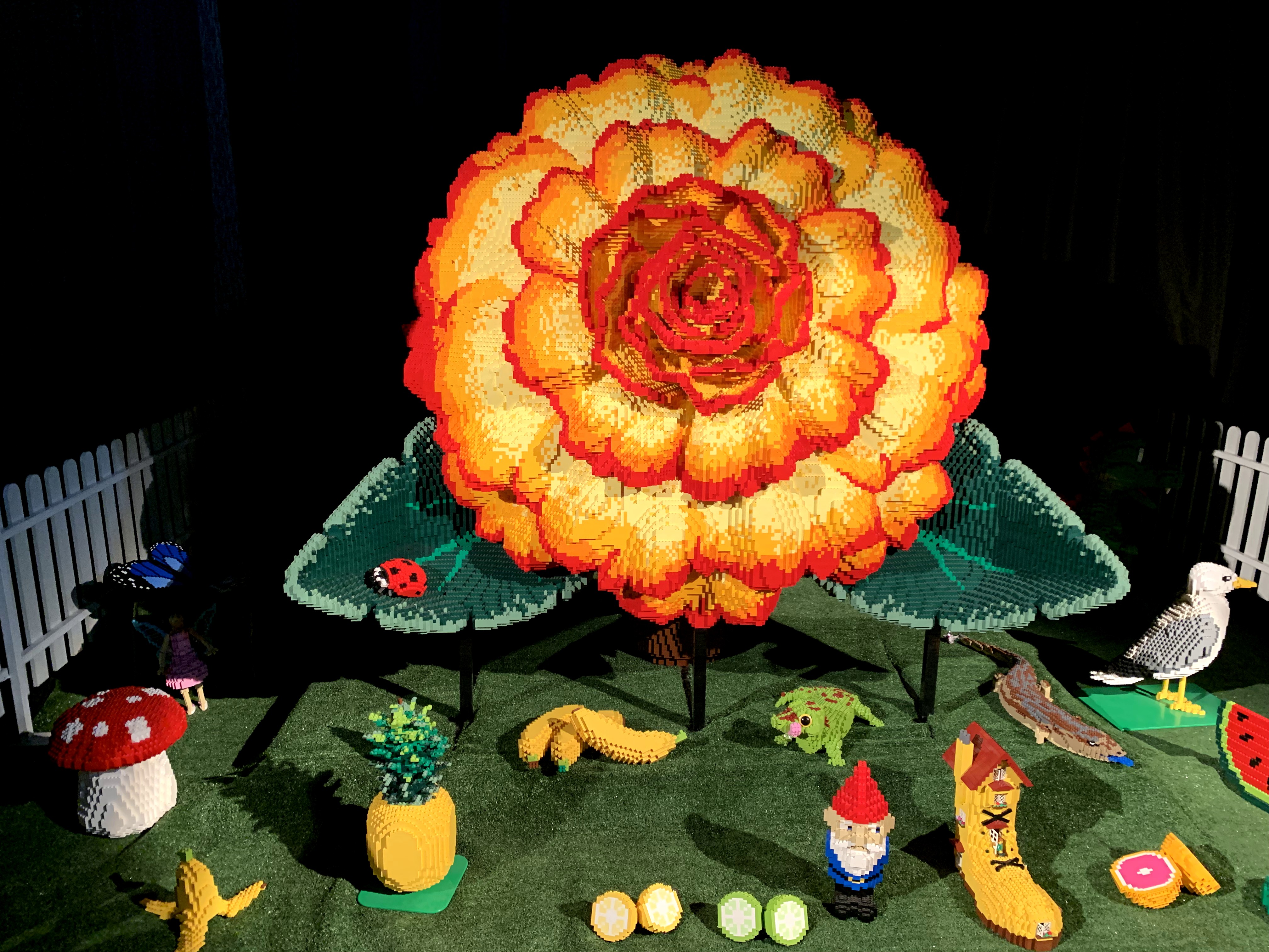 (Foto: Guatemala.com)