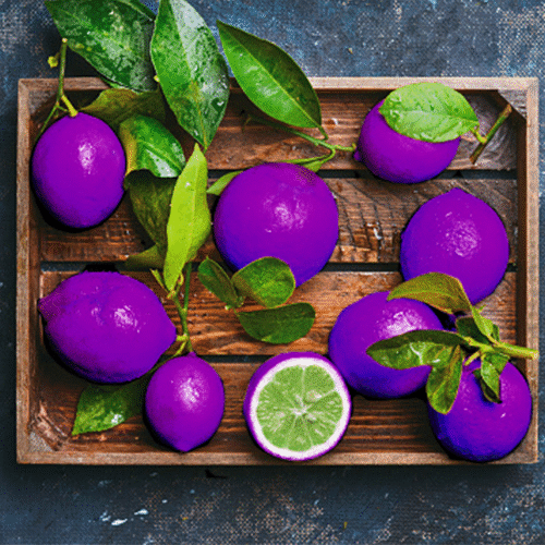 Quezalteca trajo nuevas combinacioes sabores tropicales a Guatemala