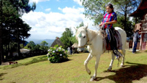 Viaje de un d&iacute;a al parque ecol&oacute;gico Pino Dulce | Abril 2019