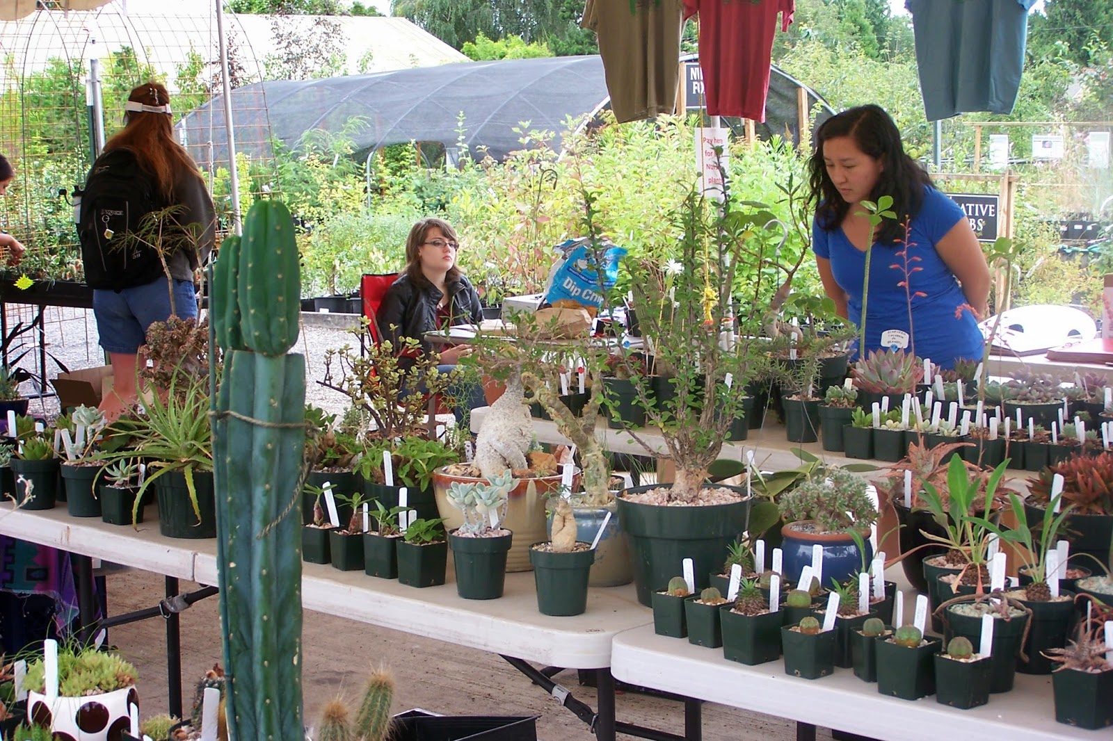 (Foto: Oregon Cactus Blog)
