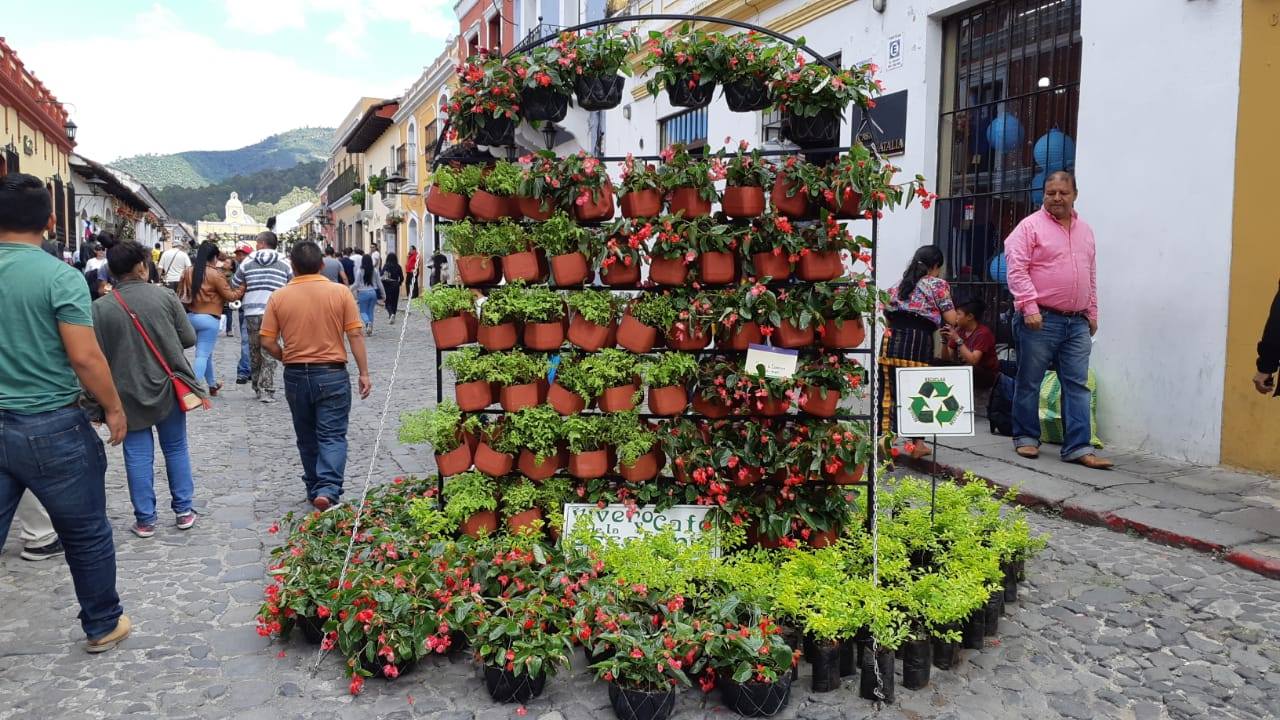 (Foto: Festival de Las Flores en La Antigua)