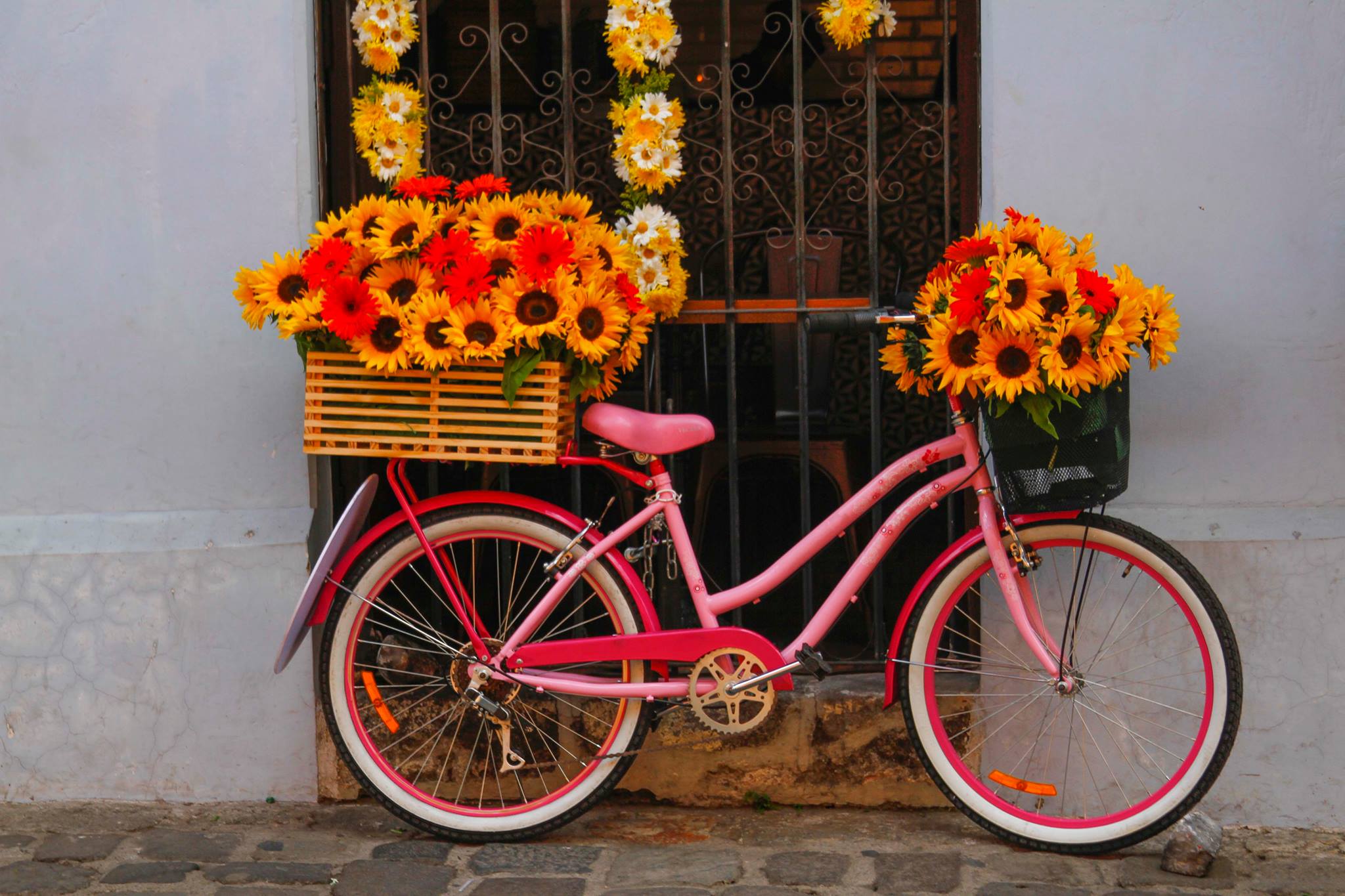 (Foto: Festival de Las Flores en La Antigua)