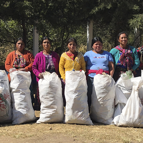 Guatemaltecos participarán en Competencia Regional de Hult Prize 2019 