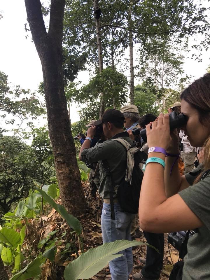 (Foto: Guatemala Bird Fair)