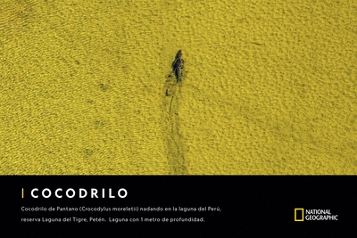 Guatemala Salvaje de NatGeo