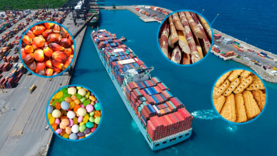 Misión comercial a República Dominicana exportación Guatemala 2019